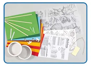 Ausmal-Laternen-Set ”Dschungel & Igel” Jetzt Zugreifen