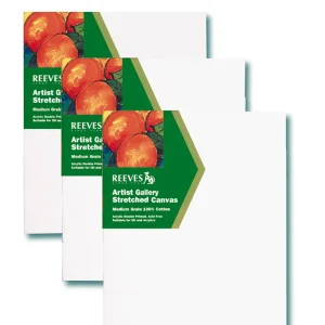 Keilrahmen 80 x 100 cm REEVES Kostenloser Rückversand