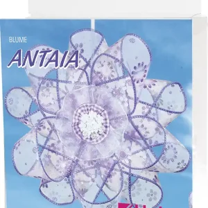 Preis Gesenkt Bänder-Blume Antaia lila