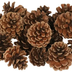 Natur-Kieferzapfen, 24tlg, 6x4cm Nur Für Kurze Zeit