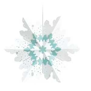 Geprüft Weihnachtsstern ”Winter Star” polarweiß, 220g/m²