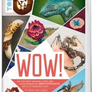 Wow! Die Weltweit originellsten und wunderbarsten Kreativprojekte Super-Preis