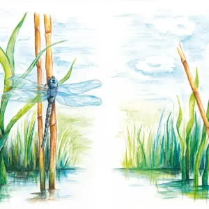 Gratis Versand Farbstifte aquarell i.Blechetui 12 Stifte