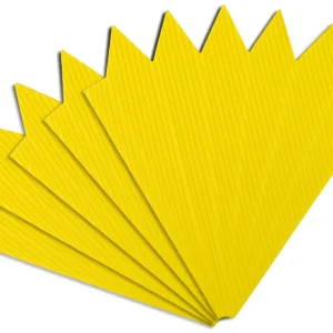 Schultütenspitzen zitrone, 5 Stück Sonderangebot