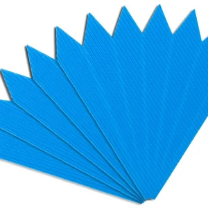 Schultütenspitzen pazifik, 5 Stück Sonderaktion