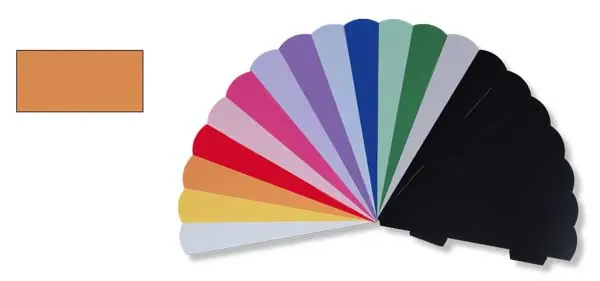 Geschwistertütenrohling mandarine Gleich Bestellen