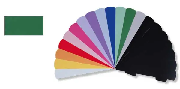 Geschwistertütenrohling grün Ausverkauf