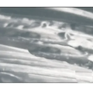 Edelbast glänzend silber, 30 m Großhandel