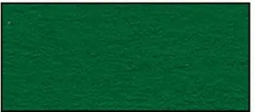 Nur Heute Tonkarton 220 g/m² tannengrün