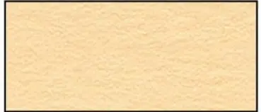 Premium Tonkarton 220 g/m² chamois