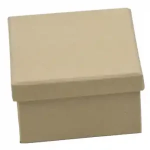 Expressversand Pappbox quadratisch natur