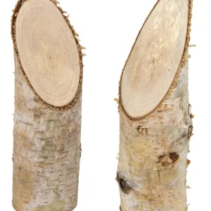 Schnäppchen Birkenstamm