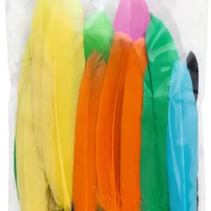 Indianerfedern Kostenfreie Lieferung