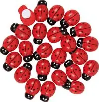 Marienkäfer 24 Stück Expressversand