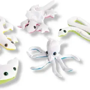 Sandtier zum Bemalen sortiert Geld-Zurück-Garantie