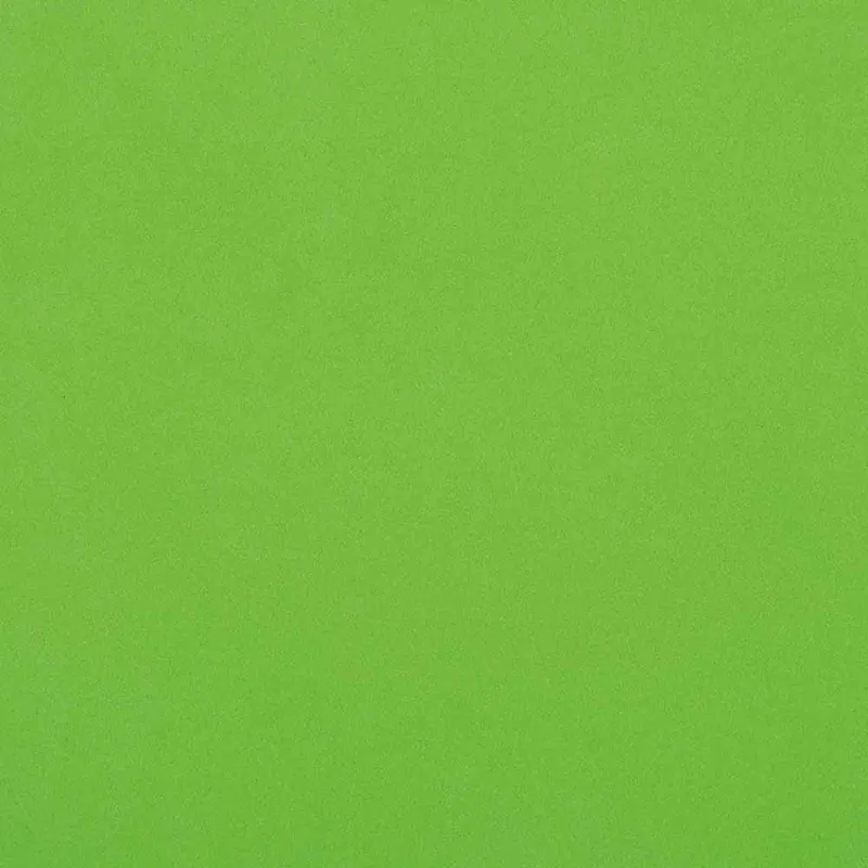 Moosgummi hellgrün, 5 Stück Nur Heute