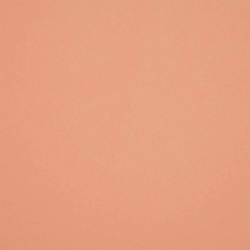 Geld-Zurück-Garantie Moosgummi apricot, 5 Stück