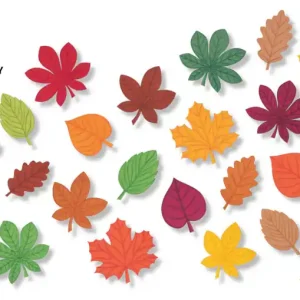 Geld-Zurück-Garantie Kreativpaket Wirbelnder Blätterzauber