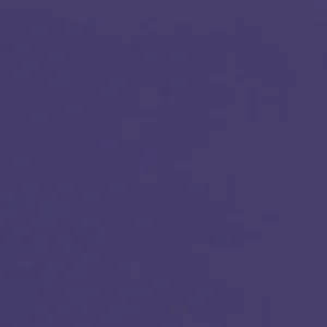 Sichere Zahlung Wachsplatte lila, 10 Stück