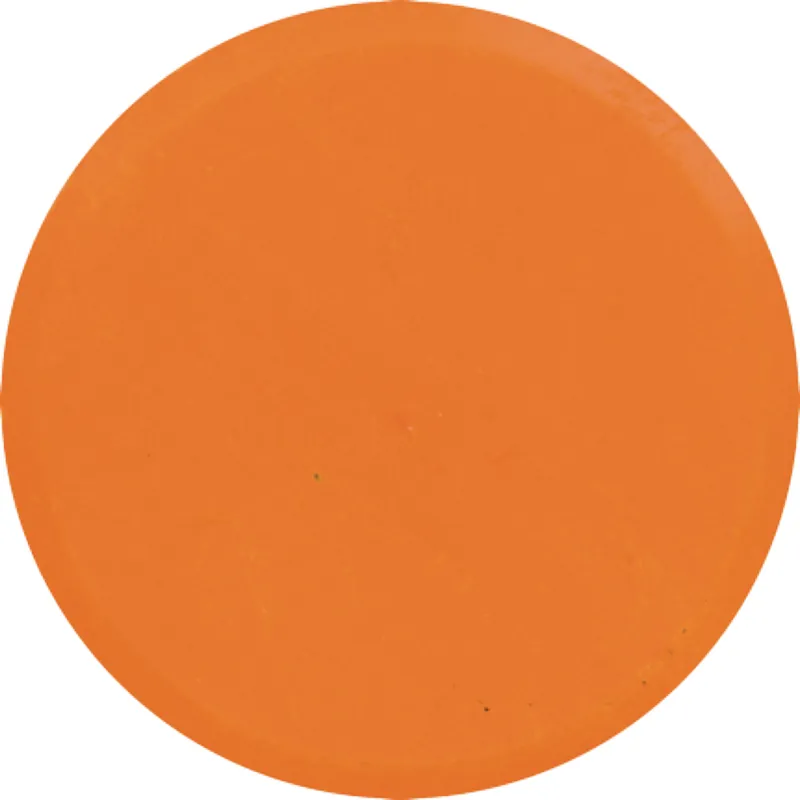 Sichere Zahlung Farbpuck orange, 5 Stück, Ø 44 mm