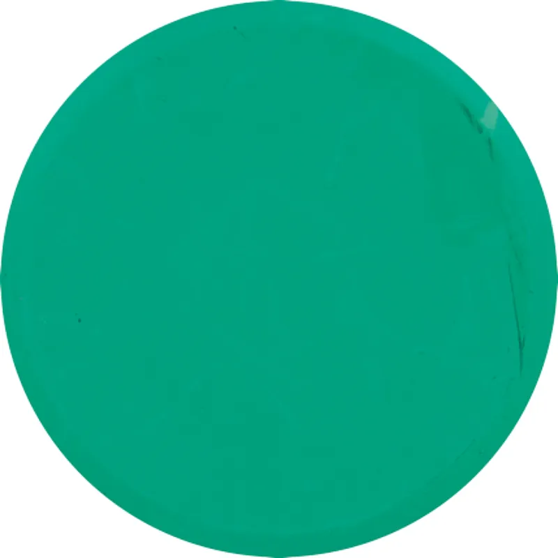 Farbpuck grün, 5 Stück, Ø 44 mm Schnäppchen