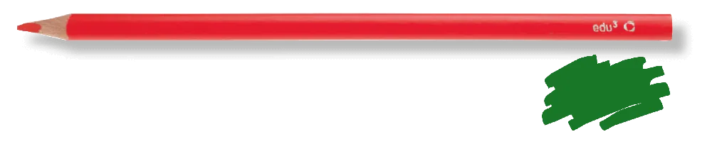 Expressversand Buntstift Tri grün, 12 Stück