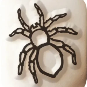 LaDot Tattoostein S Spinne Markenware