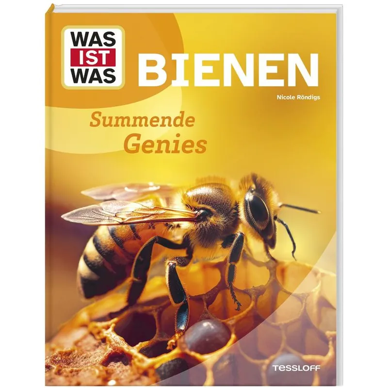 WAS IST WASBienenSummende Genies Top-Angebot